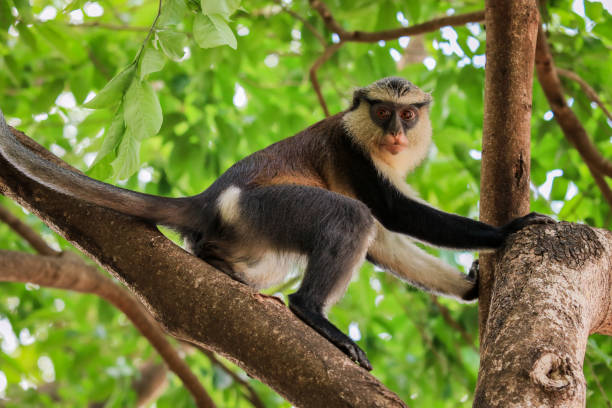3 Days Semuliki National Park Safari